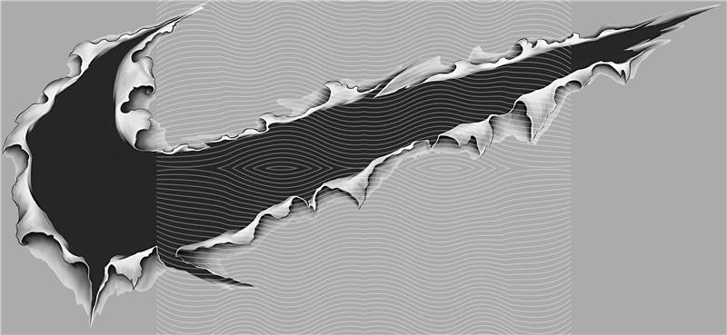 latest edition-KNY 319